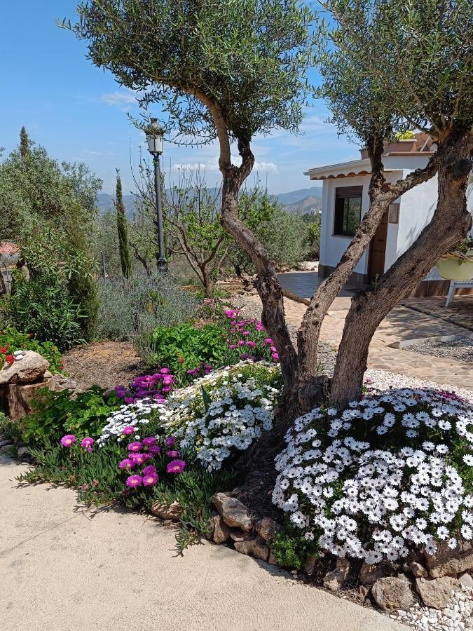 Casa Serenity ألورا المظهر الخارجي الصورة